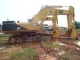 Picture for Plant; 4XCAT375